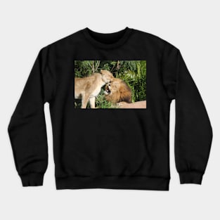 True Love Crewneck Sweatshirt